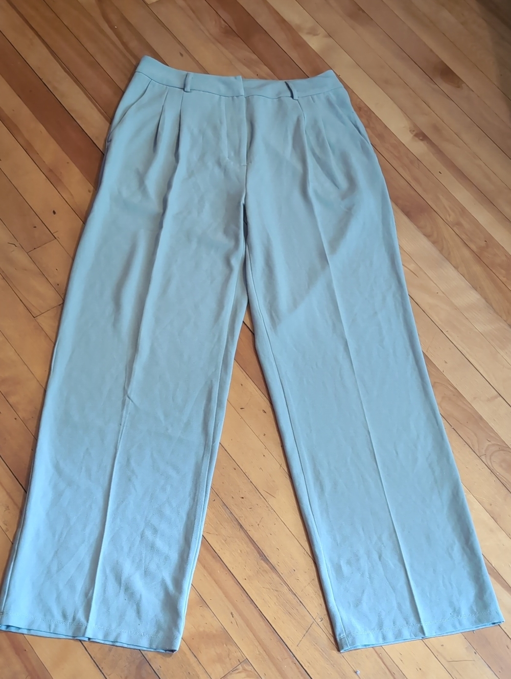 Shinestar Pleated Wide-Leg Dress Pants in Light Grey Medium